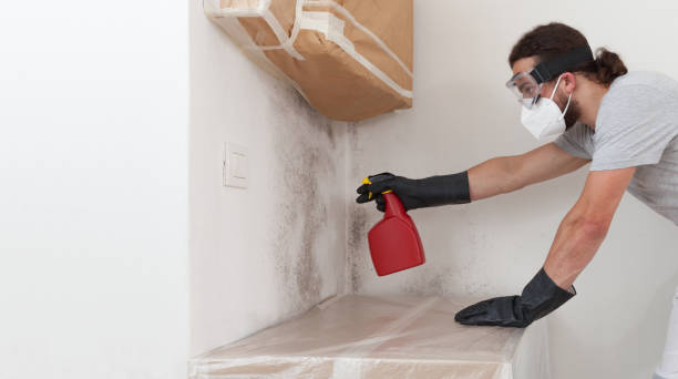 Professional Mold Inspection And Testing technician working in Union City, MI