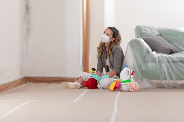 Reliable Mold Inspection And Testing contractor in Union City, MI by 24 Hour Mold Removal